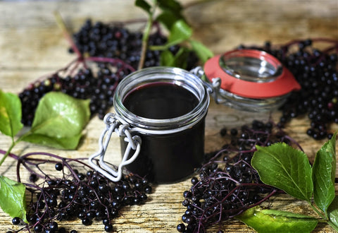 Winter-Hardy Elderberry Syrup Recipe