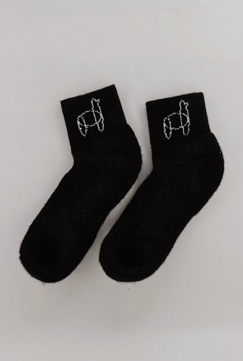 Echoview Ankle Socks