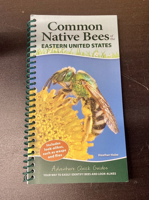 Common Native Bees of the Eastern United States