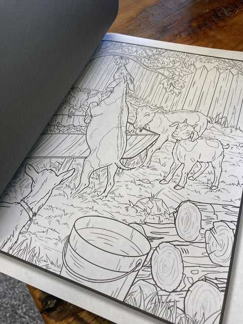 Country Farm Coloring Book