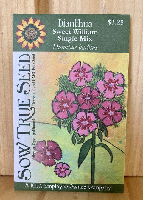 Sow True Seeds, Dianthus (Sweet William)