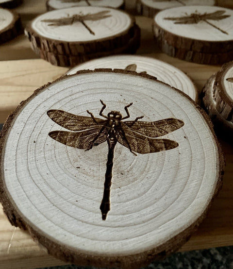 Engraved coasters: Dragonfly