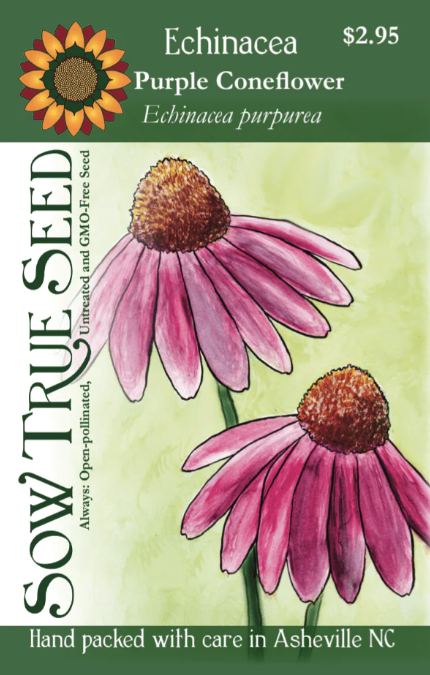 Sow True Seeds, Echinacea (Purple Coneflower)