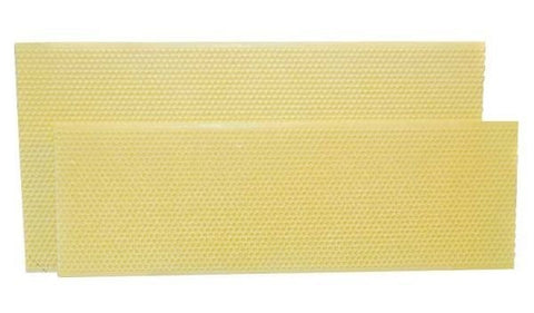 Shallow (4 3/4") Plastic Foundation, Yellow Ritecell, single