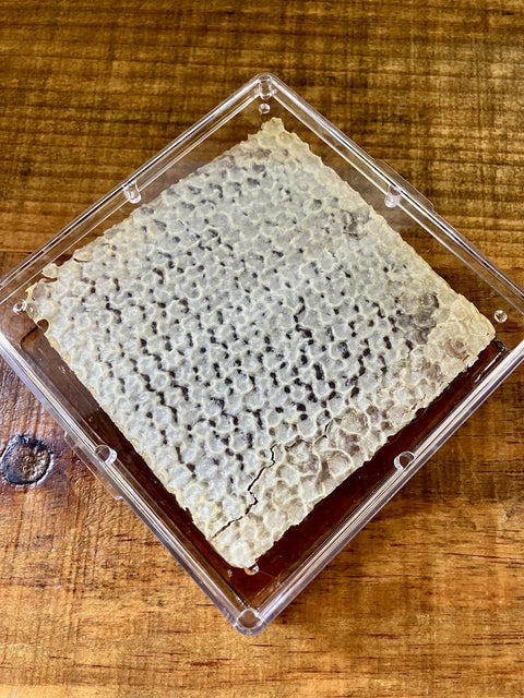 Honey & the Hive Local Honeycomb and Comb Honey
