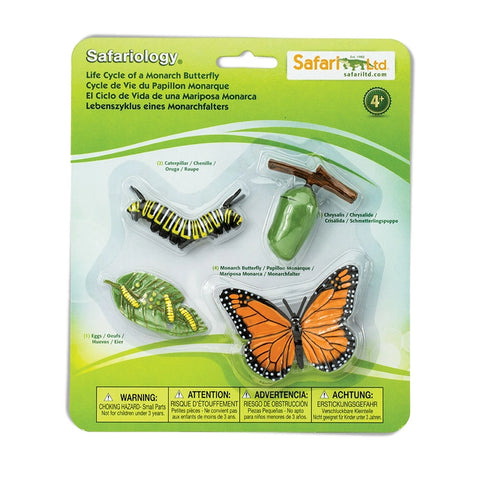 Safariology: Life Cycle of a Monarch