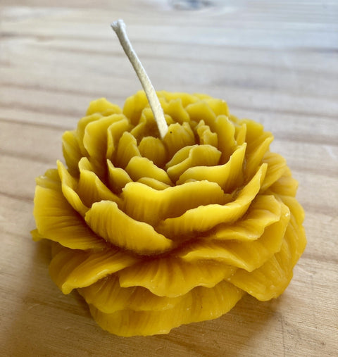 Beeswax Peony Flower Candle