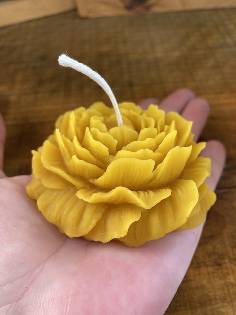 Beeswax Peony Flower Candle