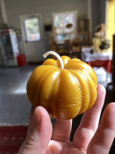 Beeswax Pumpkin Candle