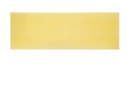 Medium Plastic Foundation (5 5/8"), Yellow Ritecell, single