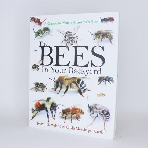 The Bees in Your Backyard